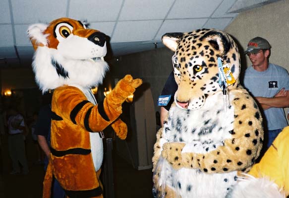 fsp-tiger-jag.jpg